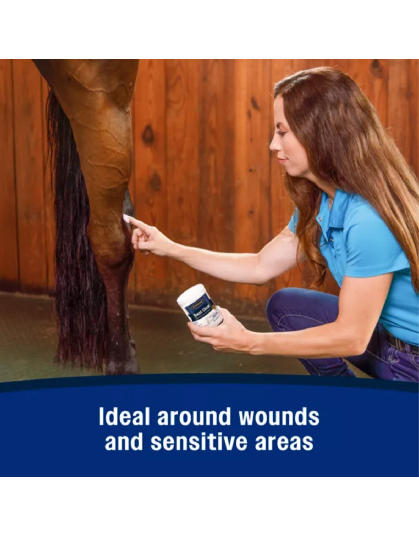 SWAT CLEAR FLY OINTMENT 6OZ