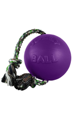 DOG TOY JOLLY PET ROMP N ROLL