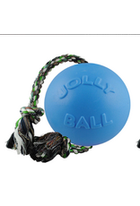 DOG TOY JOLLY PET ROMP N ROLL
