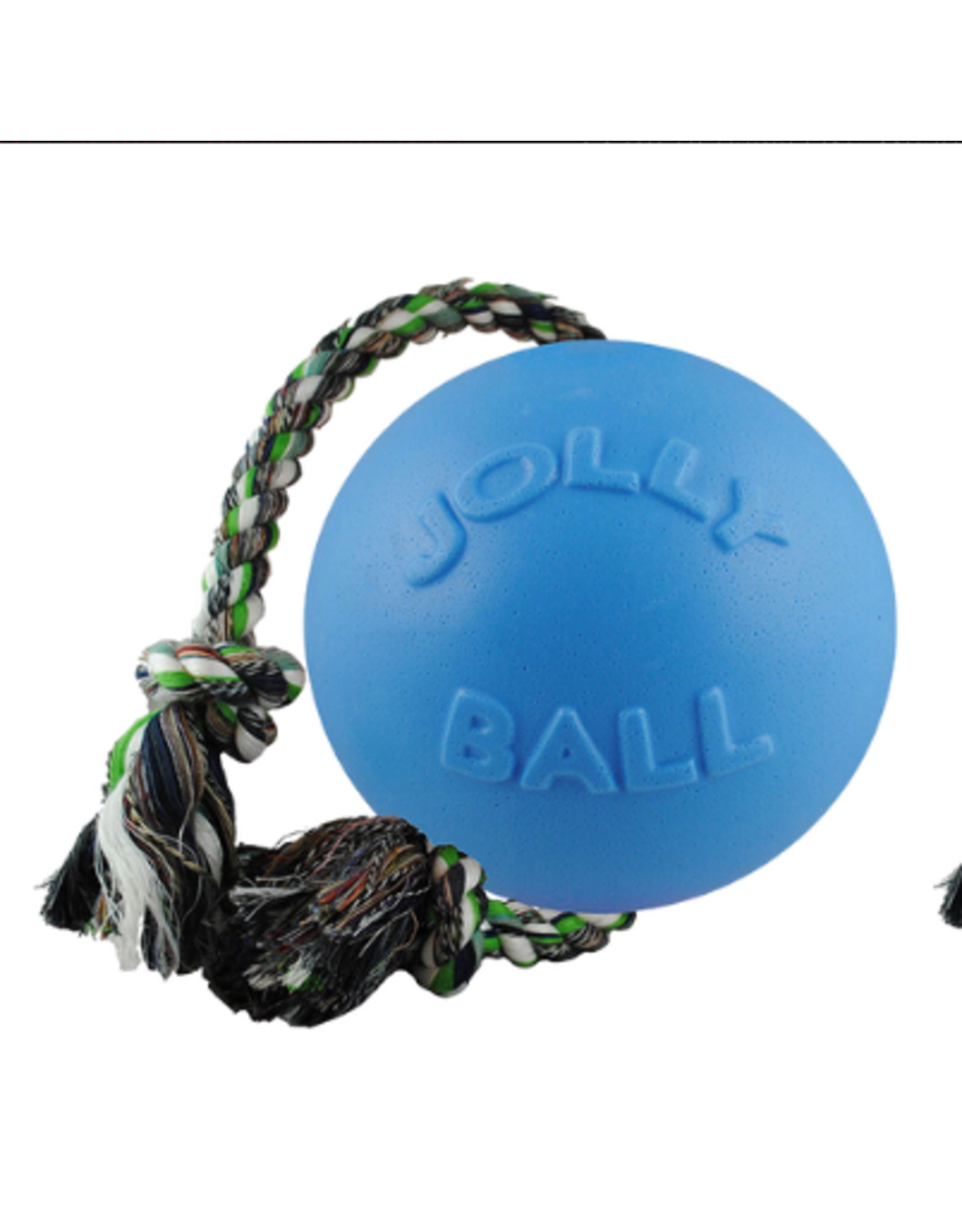 DOG TOY JOLLY PET ROMP N ROLL