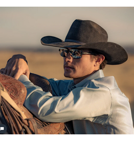 BEX SUNGLASSES HARRIS BLACK GRAY SILVER