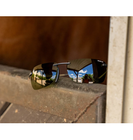 BEX SUNGLASSES LEGOLAS OTG GUNMETAL FOREST