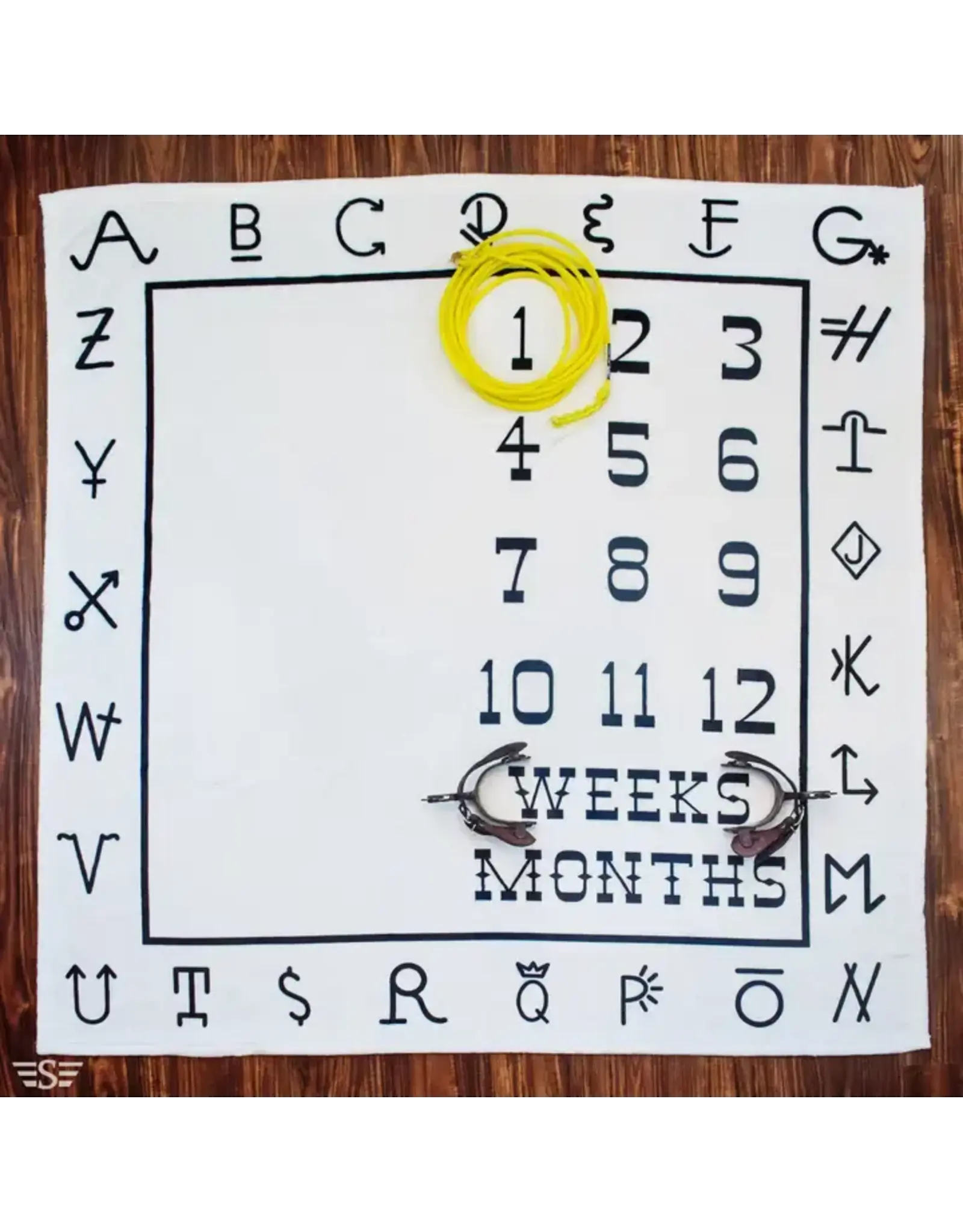 BRANDED BABY MILESTONE BLANKET