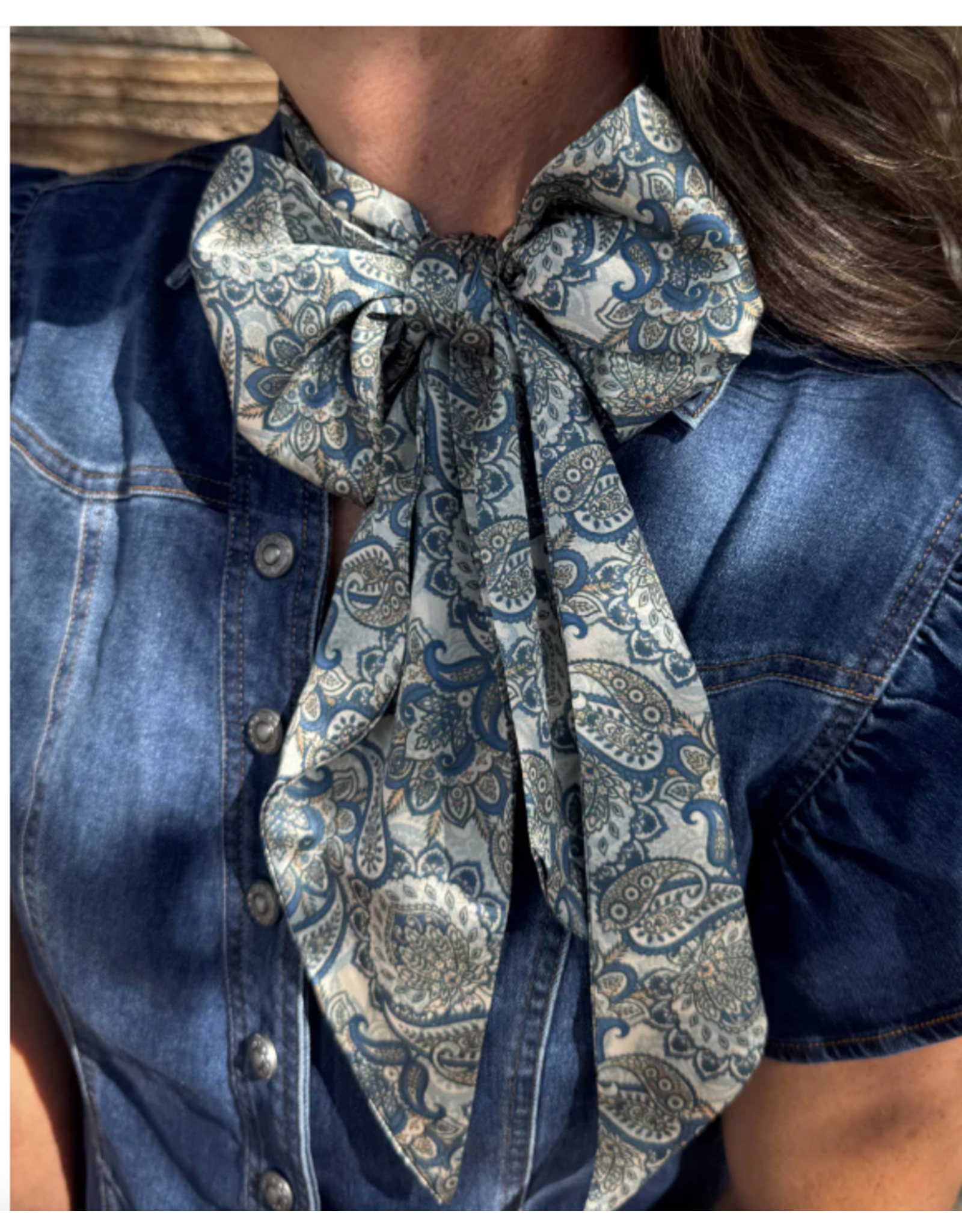TWILLY LARGE DUSTY DENIM PAISLEY