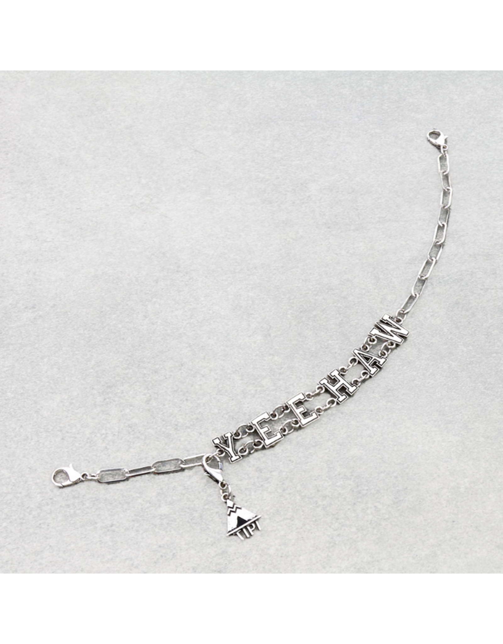 TRUCKER HAT CHAIN SLIVER  YEEHAW