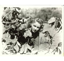 LOIS HALL SNEAKING IN THE WOODS SIGNED PHOTO AUTOGRAPHED W/COA 8X10