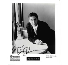 DAVID SCHWIMMER ACTOR FRIENDS" SIGNED 8X10 STUDIO PROMO PHOTO W/COA