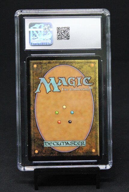 HOLLYWOOD PRO TOUR PROMO'S EVAN GOLDBERG & JOSEPH GORDON-LEVITT