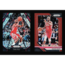 Chris Paul 2018-19 Panini Prizm Basketball Houston Rockets No. 7 & 24 Prisms Lot