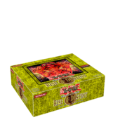 YUGIOH RISE OF DESTINY 1ST BOOSTER BOX