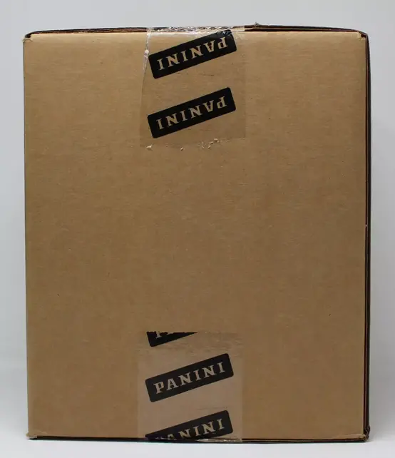 2020/21 PANINI NBA HOOPS BASKETBALL Hobby 20 BOX CASE