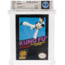 NES Kung-Fu - Graded