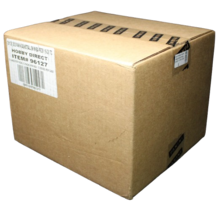 2020 Panini Prizm WNBA Basketball Hobby 12 BOX Case