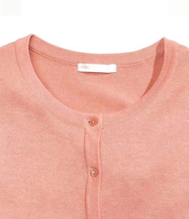 Vero Moda Cardigan Katoen