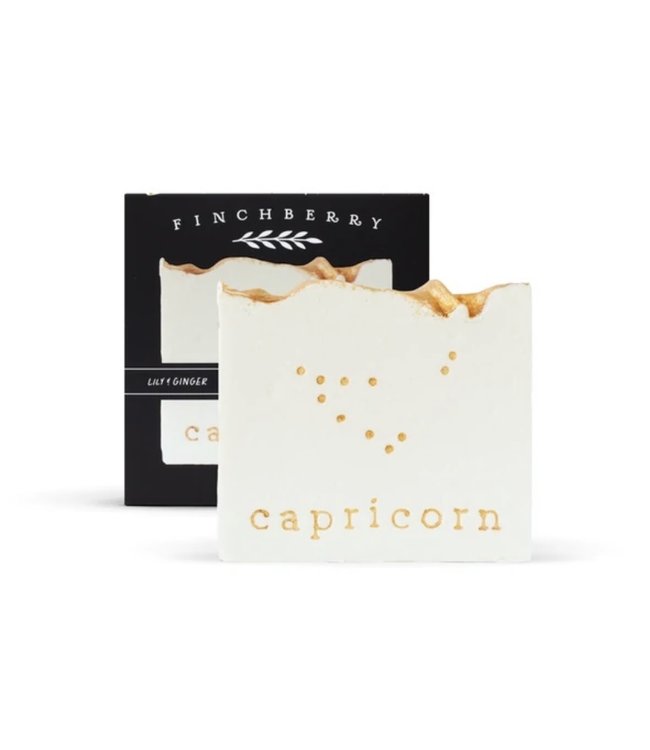 Capricorn- Handcrafted Vegan Soap