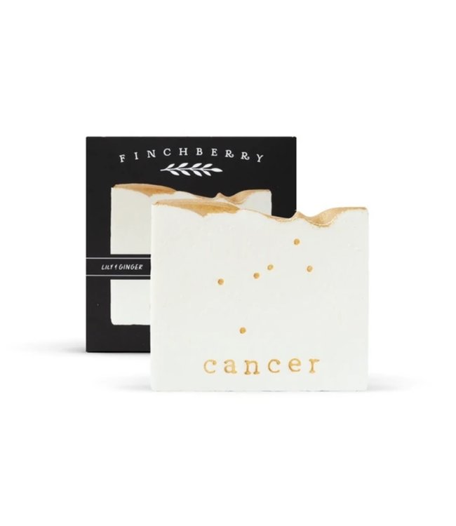 Cancer- Handcrafted Vegan Soap