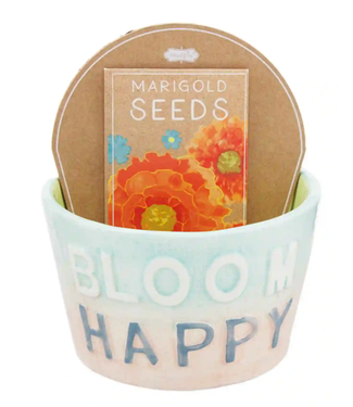 Mud Pie Bloom Colorful Pot & Seed Set