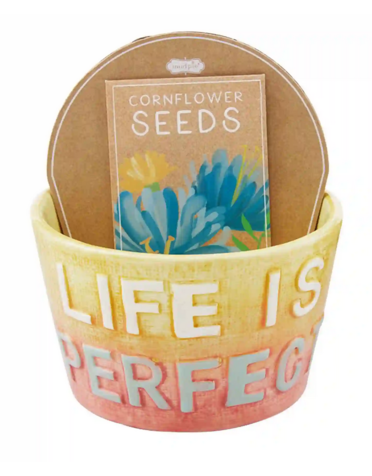 Mud Pie Life Colorful Pot & Seed Set