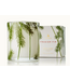 Thymes Frasier Fir Pine Needle Candle 6.5oz.