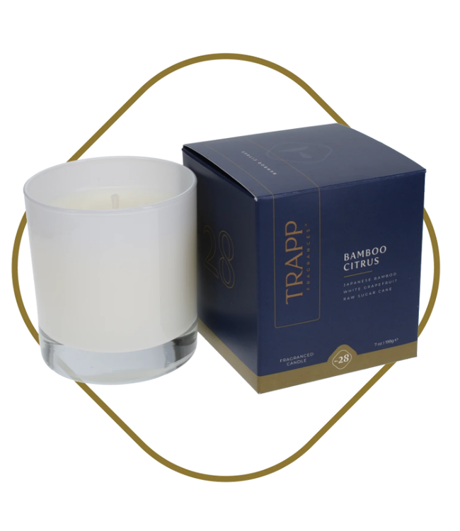Trapp Fragrances #28 Bamboo Citrus 7oz Candle in Signature Box