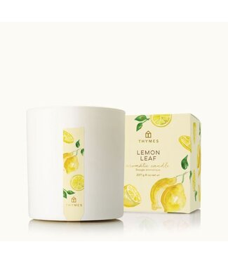 Thymes Lemon Leaf Poured Candle