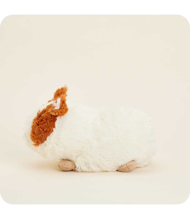 Guinea Pig Warmies