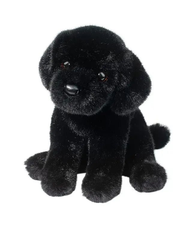 Ford Black Lab