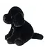 Ford Black Lab