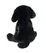 Ford Black Lab