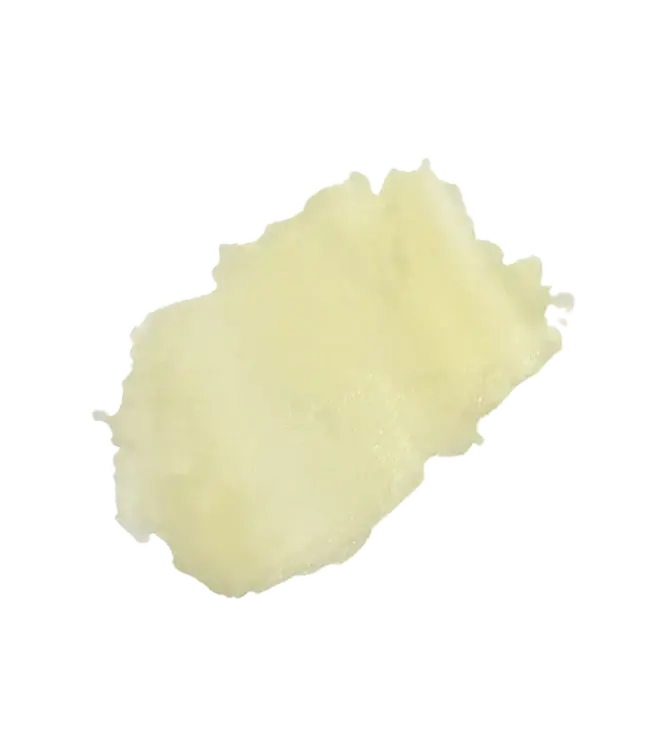 .15oz Orange Blossom Honey Lip Balm