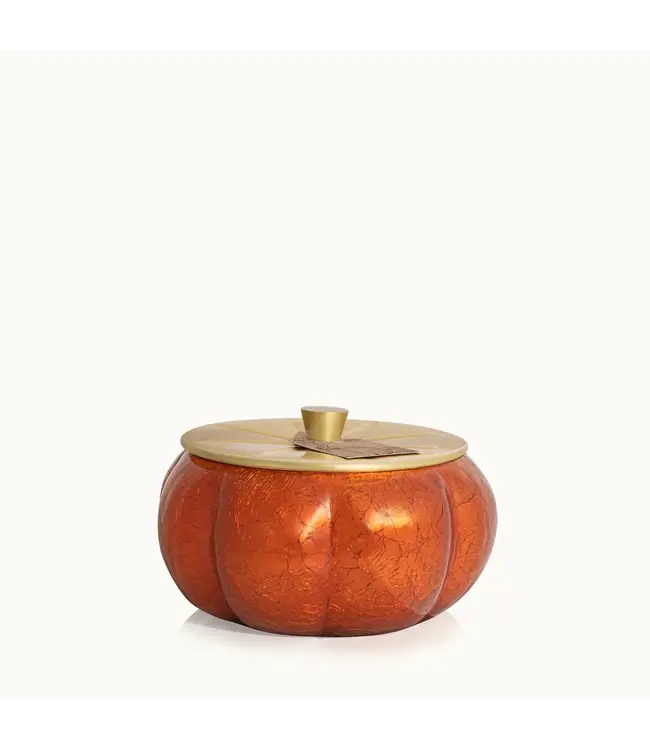 Thymes Pumpkin Laurel Large Candle