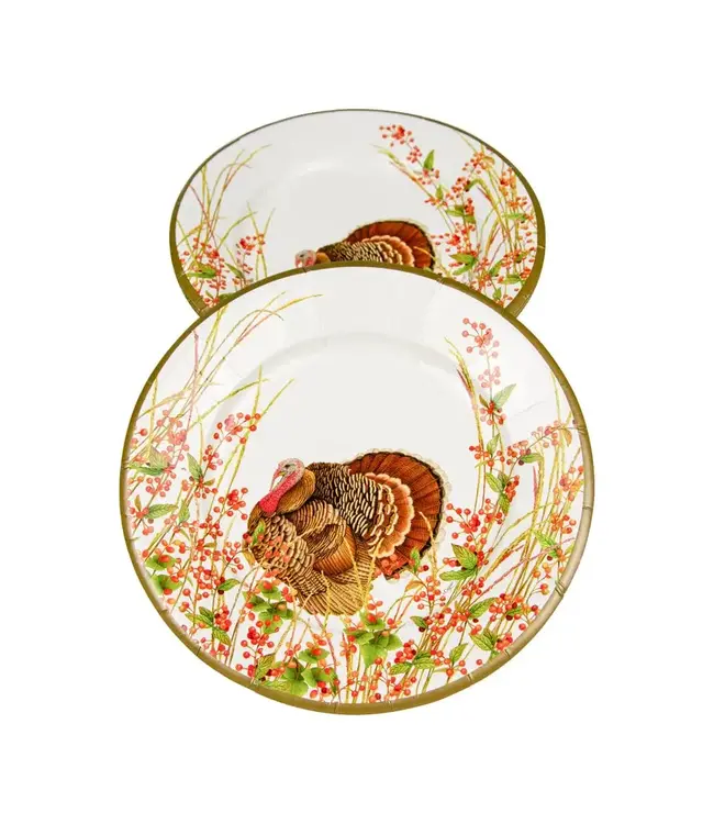 Turkey and Berries Dinner Plates