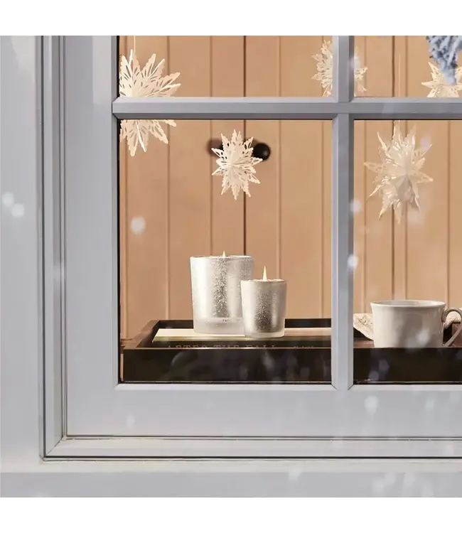 Thymes Frasier Fir Medium Flocked Collection Poured Candle