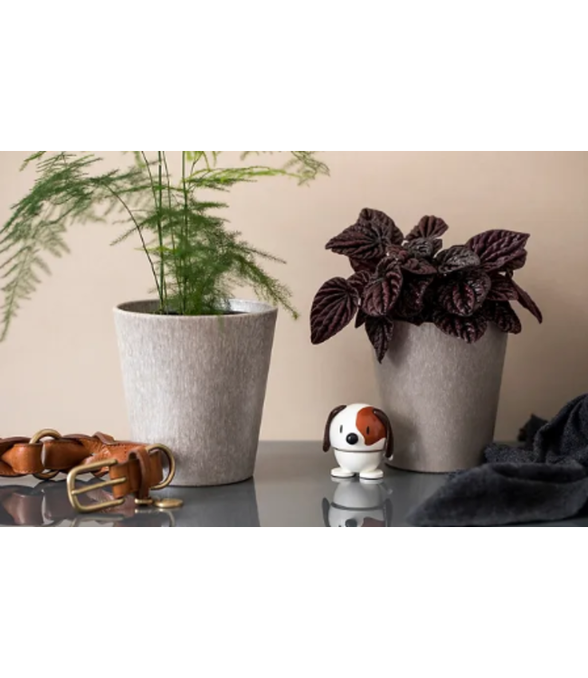 Hoptimist Hoptimist Dog White