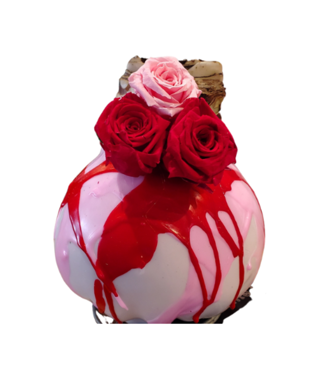 Amaryllis - Pink Red Splatter