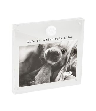 Mud Pie 4x6 Acrylic Dog Paw Frame