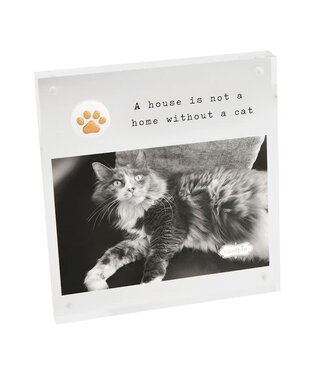Mud Pie 4x6 Acrylic Paw Cat Frame