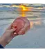 Taylor 5" Mirror LED Lights Marble Rose