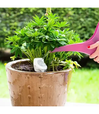 Urinal Plant Stake
