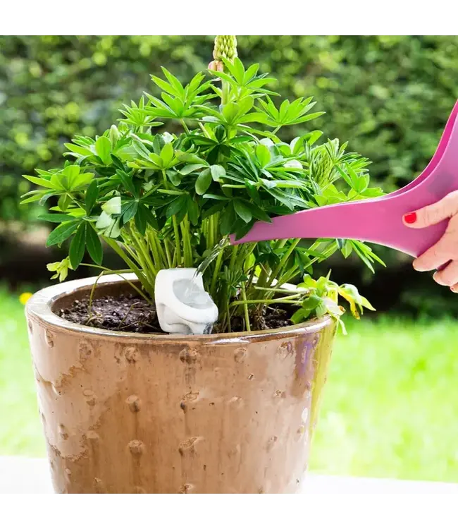 Urinal Plant Stake