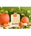 Harvest Pumpkin Mini Attachment
