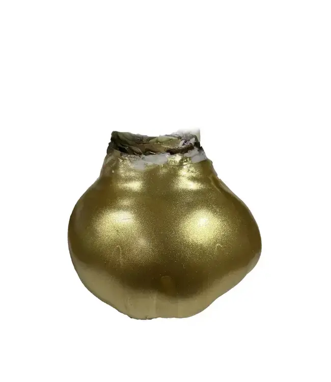 Amaryllis Bulb Gold Waxed Lacquer - WHITE FLOWER