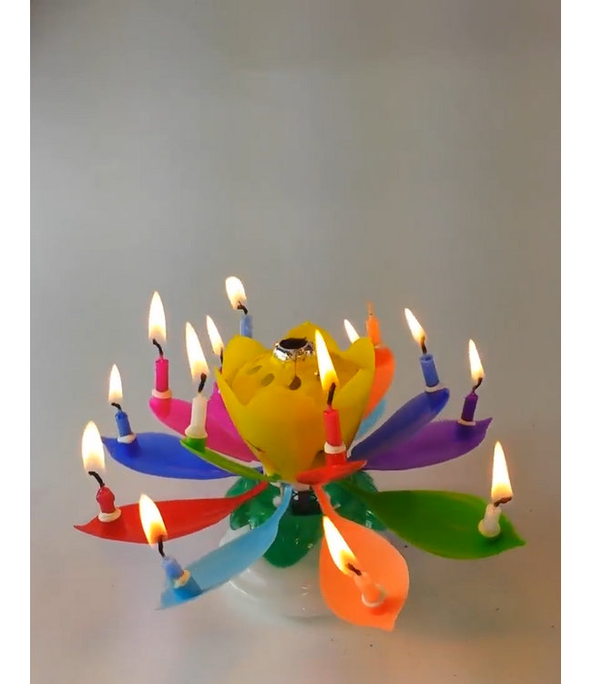 Rainbow Musical Flower Candle for Celebration / Birthday!