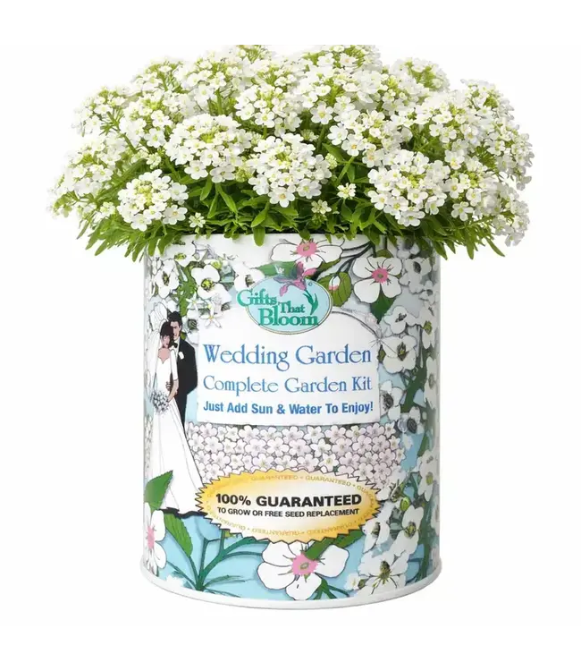 Garden Grocan Seed Kit