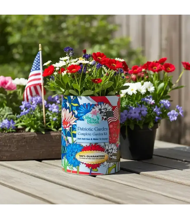 Garden Grocan Seed Kit