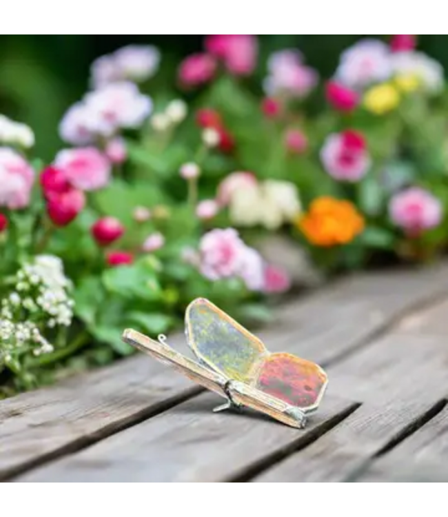 Sympathy Glass Butterfly