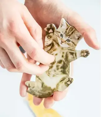 Cat Nail Files - Keep Your Nails "PURRRFECT!"