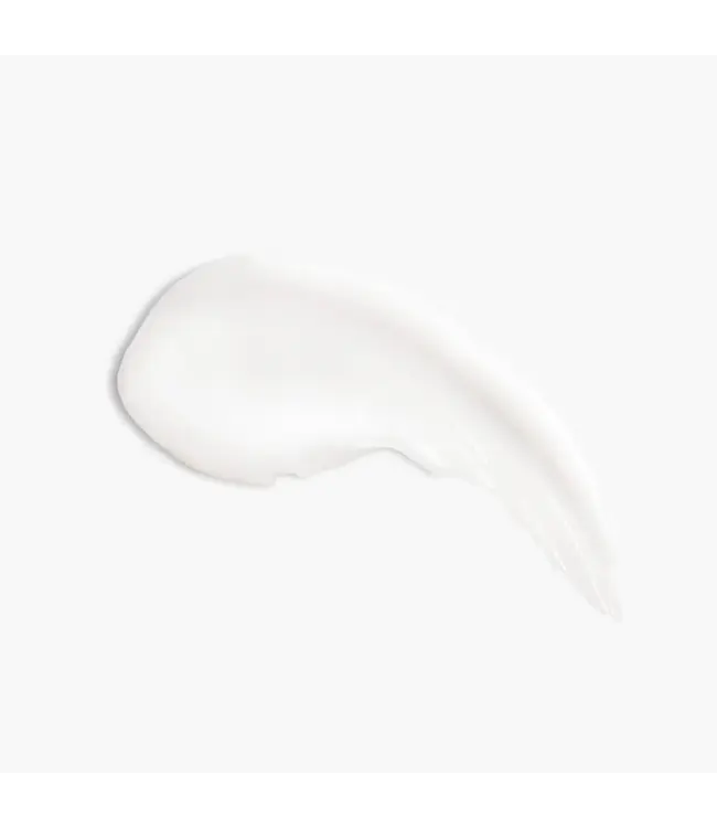 Beekman 1802 Pure Goat Milk 2 Oz Hand Cream