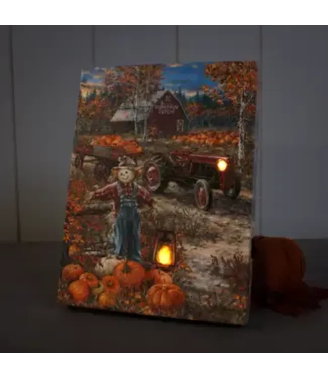 Pumpkin Patch 6x8 Lighted Table Top Canvas