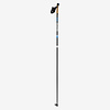 Salomon R Click Poles
